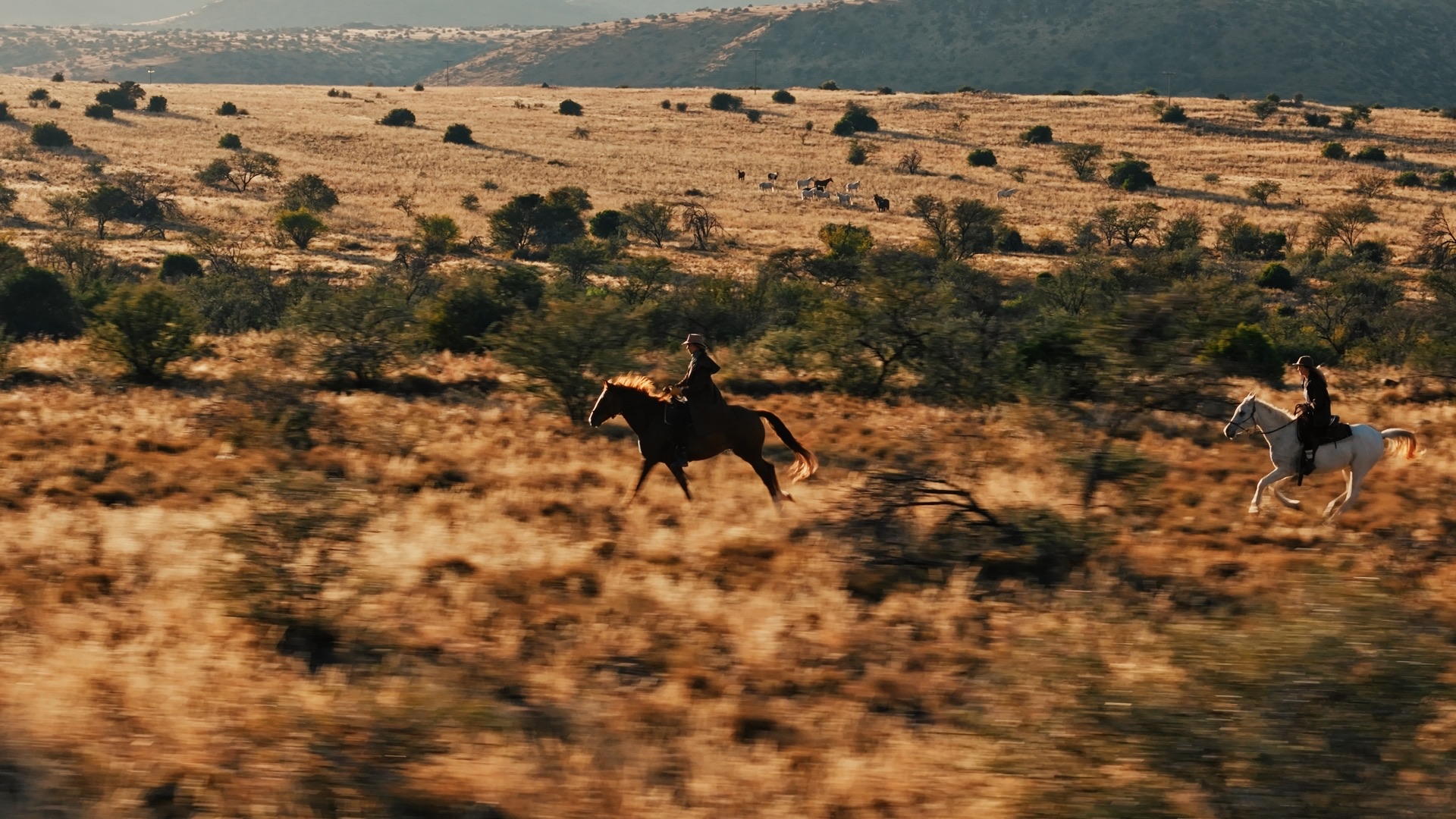DJI Air — still 11
